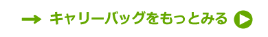 キャリーバッグページへ