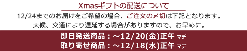 クリスマスギフト2023 喜ばれるクリスマスプレゼント女性 彼女 男性 彼氏 人気 旦那 妻 おしゃれ カップル ペア 高齢 者 20代 30代 社会人 大学生 ブランド 手軽 予算 旦那さん 喜ぶ ギフト 贈り物 予算 使えるクリスマスプレゼント