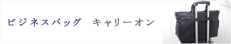 キャリーオン ビジネスバッグ