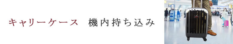 キャリーケース キャリーバッグ 機内持ち込み