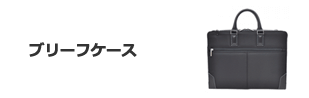 ブリーグケース