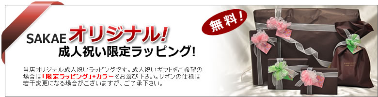 成人の日2014 プレゼントに おすすめバッグ財布小物